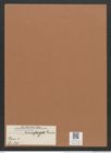 Navicula transfuga Grun. (de-Toni-Nr.: Genus 1, Species 371) Zeichnungen Sammlung Grunow Mappe 00338 (Herbarium_W_Grunow_drawings_Folder_00338)